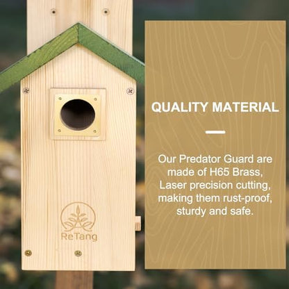Solid Brass Bird House Hole Protector, Predator Guard Plate, 1 Pack