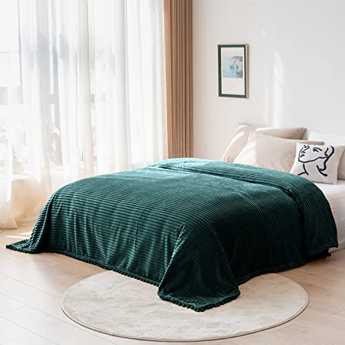 DISSA Fleece Blanket Twin Size – 60x80, Green - Soft, Plush, Fluffy, Fuzzy, Warm, Cozy – Perfect Throw for Couch, Bed, Sofa - with Pompom Fringe - Flannel Blanket - color: Green, size: 60x80"