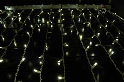 Novelty Lights 35 Light LED Twinkle Christmas LED Mini Light Set, Outdoor Curtain Fairy Wedding String Lights, Warm White, 17 Feet