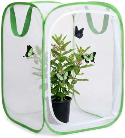 Insect & Butterfly Habitat Cage, Portable Pop-Up Terrarium with Mesh Sides, Bug Catching & Observation Enclosure for Caterpillars, Small Insects, Outdoor & Classroom Use, 16 Inches Tall