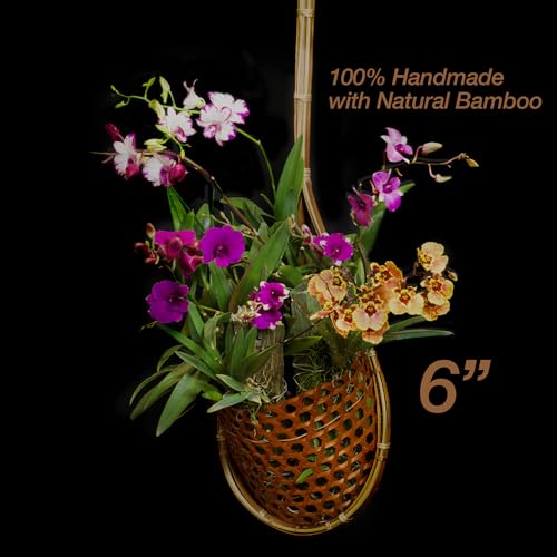 Handmade 100% Thai Bamboo Super Sanctuary Hanging Orchid Basket - 6 Inch Set of 2 - color: 6 Inch Super Sanctuary 2-pack