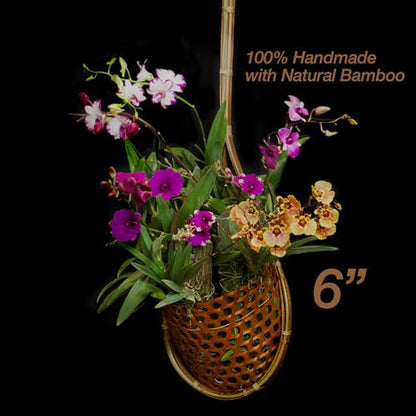 Handmade 100% Thai Bamboo Super Sanctuary Hanging Orchid Basket - 6 Inch Set of 2 - color: 6 Inch Super Sanctuary 2-pack