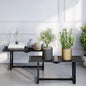 Plant Stand Indoor Outdoor, Foldable Metal Plant Shelf for Multiple Pots, Mid Century Slatted Bench for Patio Garden, Heavy Duty Capacity 330 lbs 2 Pack Black