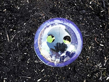 12-Pack! GrowAway™ Small Reusable Plastic Mini Greenhouse, Garden Cloche Dome, Plant Covers Frost Guard Freeze Protection for Plants Outdoors, Garden Tools, Garden Accessories - 7.87"Diam. x 6.69"H