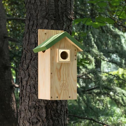 Solid Brass Bird House Hole Protector, Predator Guard Plate, 1 Pack
