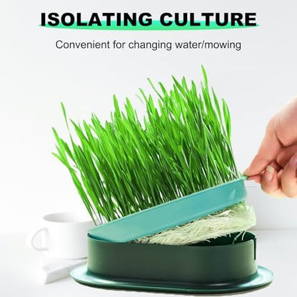 3Pcs Cat Grass Planter, Plastic Wheatgrass Planting Trays Hydroponic Cat Grass Growing Kits for Indoor Cats Soilless Nursery Box Pet Grass Pot (3 Color)
