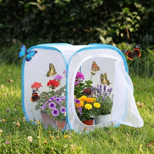 Insect & Butterfly Habitat Cage, Portable Pop-Up Terrarium with Mesh Sides, Bug Catching & Observation Enclosure for Caterpillars, Small Insects, Outdoor & Classroom Use, 12 Inches Tall