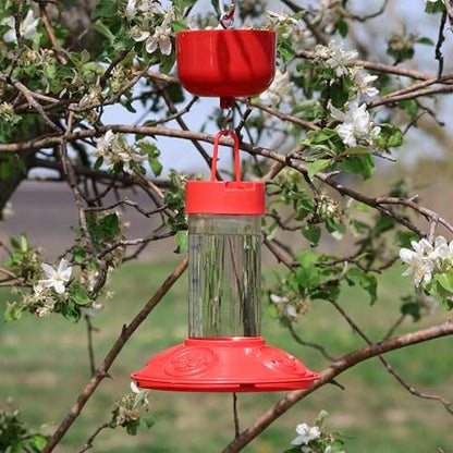 Songbird Essentials Nectar Protector Junior Bird Feeder Protection - Red