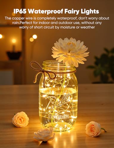 Brightown 14 Pack Warm White and White LED Fairy Lights Battery Operated String Lights, 7ft 20LED Waterproof Silver Wire String Lights, Firefly Starry Moon Lights for Mason Jars DIY Christmas Wedding - color: Warm White+White, size: 14 Pack