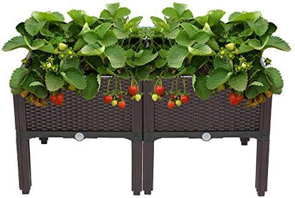 VINGLI Square Raised Garden Bed, Self-Watering Plastic Planter for Indoor Outdoor Vegetables, Fruits, Potato, Flowers, All Weather (2 Pcs)