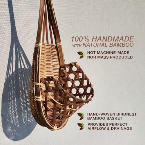 Handmade 100% Thai Bamboo Super Sanctuary Hanging Orchid Basket - 6 Inch Set of 2 - color: 6 Inch Super Sanctuary 2-pack