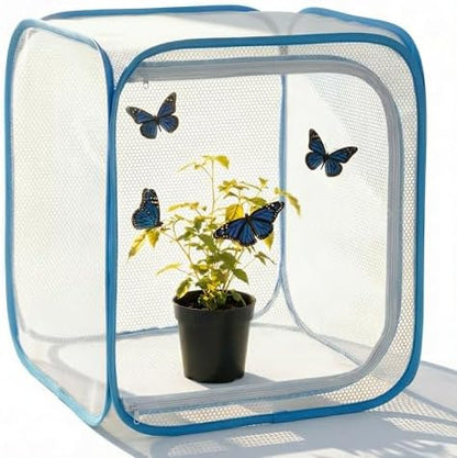 Insect & Butterfly Habitat Cage, Portable Pop-Up Terrarium with Mesh Sides, Bug Catching & Observation Enclosure for Caterpillars, Small Insects, Outdoor & Classroom Use, 12 Inches Tall