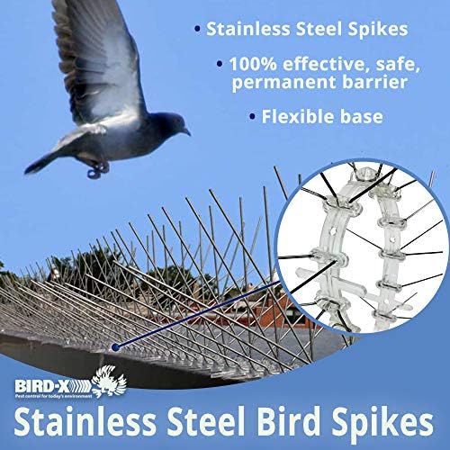 Bird-X Stainless Steel Bird Spikes, 8-inch Extra-Wide Spikes, Bird Spikes for Pigeons and Other Small Birds, Easy to Install, Contains 2 ft. Strips, Covers 24 Linear Feet Area, EWS-24
