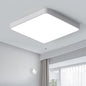 Ganeed 19.6 inch LED Ceiling Lights, 39W Square Flush Mount Day Light 6500K LED Ceiling Lamp, Energy Saving Light Fixture for Office Bedroom Kitchen Hallway Hotel, White