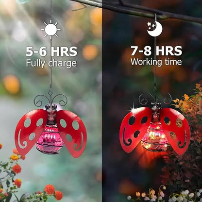 EVOLUX Solar Outdoor Ladybug Lights for Garden - Outdoor Statues Figurine Lights for Lawn, Patio, Balcony, Yard Ornament Cut Housewarming Gifts(2 pcs)