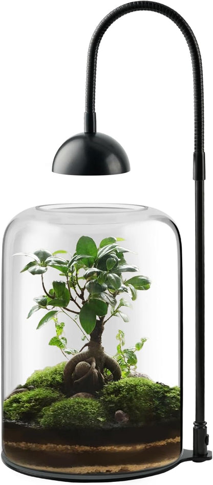 Glass Plant Terrarium with LED Grow Light & Adjustable Ventilation, 8.2" Desktop Terrarium for Venus Fly Trap, Moss & Succulents, Borosilicate Indoor Planter for Home Office Decor
