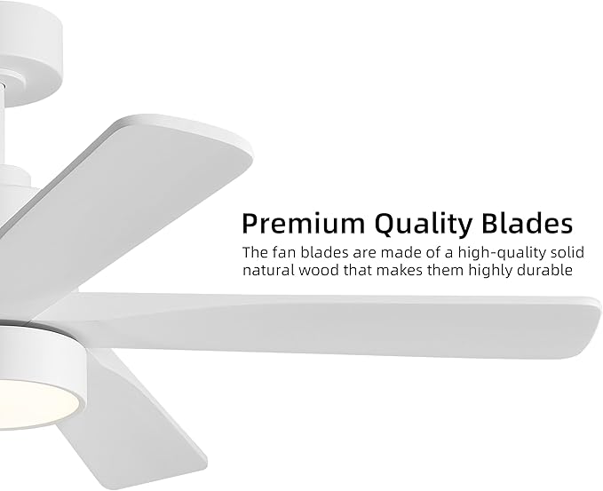 WINGBO 48 Inch DC Ceiling Fan with Lights and Remote Control, 5 Carved Solid Wood Blades, 6-Speed Noiseless Reversible DC Motor, Indoor Ceiling Fan in Gloss White Finish with White Blades