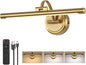 Picture Light for Wall,Battery Operated Art Lights for Painting,3 Color Selections and Brightness, Adjustable Wireless Portrait Lights with Remote for Artwork,Bookcase,Photo Frames(Brass, 15.7inch)