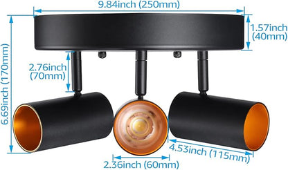 LEONLITE 36W 5CCT 3 Light LED Directional Ceiling Spotlight Fixtures, Adjustable Spot Light Flush Mount, Dimmable Accent Lighting for Kitchen, Hallway, 110-277V, 3200lm, CRI90, Black