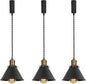 Set of Three Adjusted Wire Length H-Type Track Hanging Light 3.9 Ft Cord E26 Vintage Brass Base Industrial Design Black Metal Pendant Light Fixture for Loft Aisle Bar(No Bulb, Track)