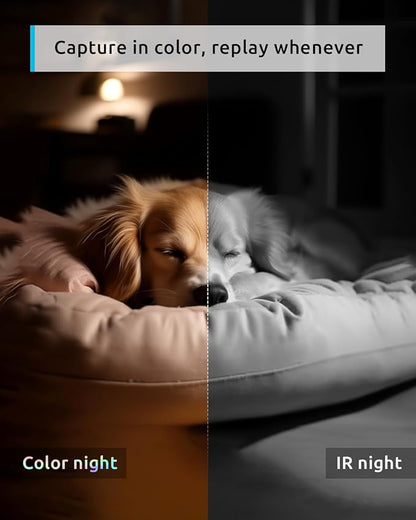 blurams 5G Pet Camera 2K, 360° PTZ Dog Camera with Phone App, Indoor Cameras for Home Security w/Dual-Band WiFi6, 2-Way Audio, Motion Tracking, Color/IR Night Vision, Siren, Cloud&SD