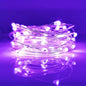 LIIDA [10-Pack] LED String Lights, 6.6FT LED Moon Lights 20 Led Micro Lights On Silver Copper Wire (Batteries Include) for DIY Wedding Centerpiece, Table Decoration, Party (Purple)
