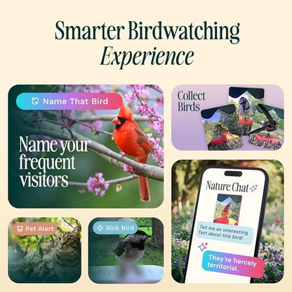 Birdbuddy PRO Solar Smart Bird Feeder with Camera - AI Bird Species Identification, 5MP Photos, 2K HD Video Live Stream Camera, Slow-Motion Video, 2.6in Focus - Blue Solar