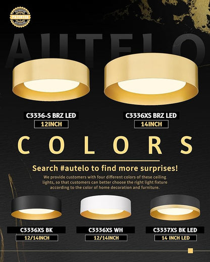 AUTELO 5CCT LED Ceiling Light, 12" Gold Flush Mount Ceiling Light with Frosted Glass in Gold Metal Finish for Bedroom, C3336-29 BRZ LED