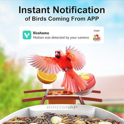 birdsnap® PAV- Smart Bird Feeder with Camera Solar Powered, 64GB Card & 2K HD Record Video Bird Camera Live with 5 DIY Add-ons, AI Identify Auto Capture, Ideal Gift for Birds Lover