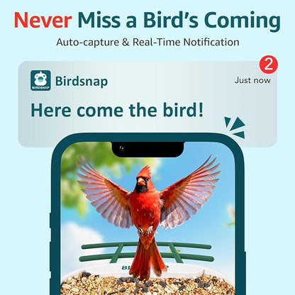 birdsnap® TUC Bird Feeder with Camera 2K HD, Solar Panel 32GB Card 4-in-1 Perch, 160°View Auto Detect & Notify AI Identify Video Bird Camera Wireless Outdoors Ideal Gift for Birds Lover