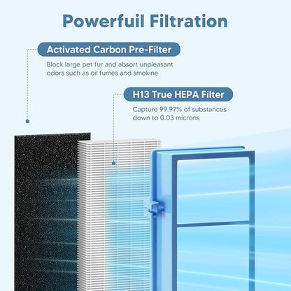 HAPF30AT-Total Air HEPA Type Filter Replacement for Holmes AER1 Air Purifier, Compatible with HAPF30AT and HAP242-NUC (2 HEPA Filters + 4 Carbon Booster Filters) by Funmit