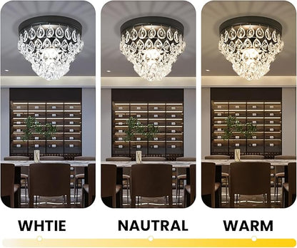 Small Crystal Chandeliers Small Chandelier Light Fixture Mini Chandelier for Closet Bathroom Living Room,Matte Black Crystal Chandeliers Lighting