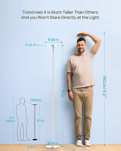 TROND Floor Lamp, LED Torchiere Uplight Lamp, 5 Brightness Aluminum Modern Standing Light, 5500K Natural Daylight, 5000 lm, 71in Tall, 30 Mins Timer, Detachable, for Office Living Room Bedroom, Silver