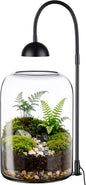 Glass Plant Terrarium with LED Grow Light & Adjustable Ventilation, 8.2" Desktop Terrarium for Venus Fly Trap, Moss & Succulents, Borosilicate Indoor Planter for Home Office Decor