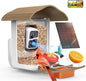 birdsnap® PAV- Smart Bird Feeder with Camera Solar Powered, 64GB Card & 2K HD Record Video Bird Camera Live with 5 DIY Add-ons, AI Identify Auto Capture, Ideal Gift for Birds Lover