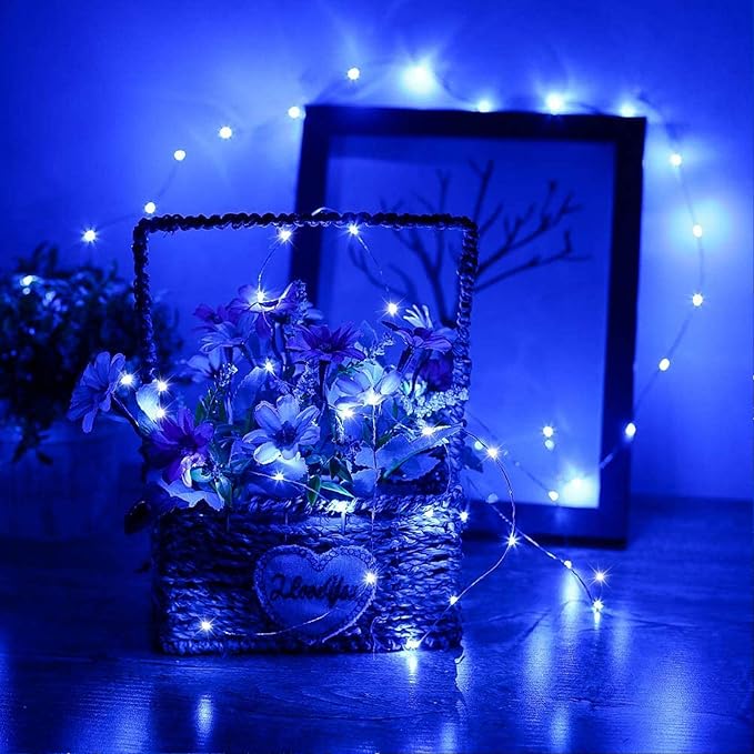 RUICHEN Silver Wire Fairy Lights Plug in 33 Ft 100 LED String with Spool, Blue