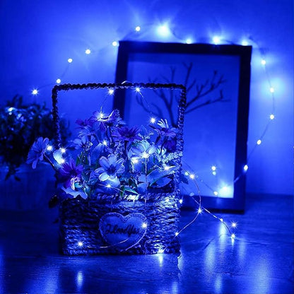 RUICHEN Silver Wire Fairy Lights Plug in 33 Ft 100 LED String with Spool, Blue