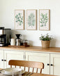 KUVIOKE Botanical Plant Wall Art Sage Eucalyptus Light Green Leaf Framed Wall Decor for Bedroom Living Room Bathroom Home Office Ready to Hang 8x10in3pcs Natural Framed