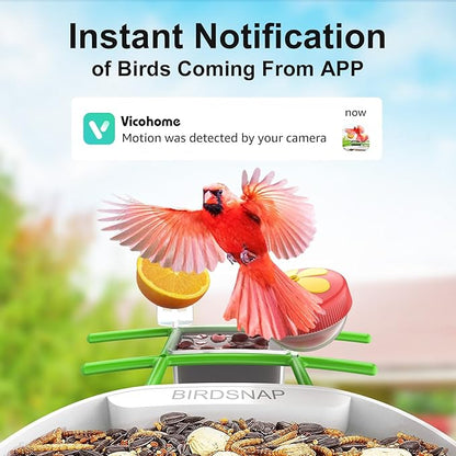birdsnap® PAV- Smart Bird Feeder with Camera Solar Powered, 64GB Card & 2K HD Record Video Bird Camera Live with 5 DIY Add-ons, AI Identify Auto Capture, Ideal Gift for Birds Lover