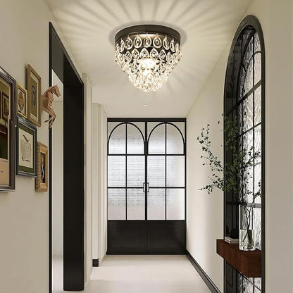 Small Crystal Chandeliers Small Chandelier Light Fixture Mini Chandelier for Closet Bathroom Living Room,Matte Black Crystal Chandeliers Lighting