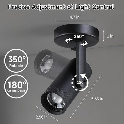 12W LED Dimmable Zoomable Ceiling Spotlight Indoor – Adjustable Beam Angle 10-55° Surface Mount Wired Accent Spot Light for Picture, Plants & Painting | Warm White 3000K CRI 97, Black