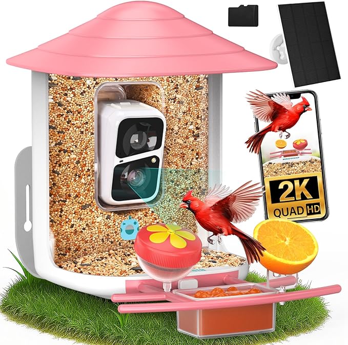 birdsnap® TUC Bird Feeder with Camera 2K HD, Solar Panel 32GB Card 4-in-1 Perch, 160°View Auto Detect & Notify AI Identify Video Bird Camera Wireless Outdoors Ideal Gift for Birds Lover