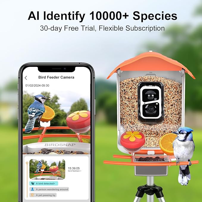 birdsnap® PAV- Smart Bird Feeder with Camera Solar Powered, 64GB Card & 2K HD Record Video Bird Camera Live with 5 DIY Add-ons, AI Identify Auto Capture, Ideal Gift for Birds Lover