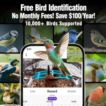 No-Monthly-Fees Solar Bird Feeder with 4MP Camera, Free AI Birds Species Identification, 2.5K Smart Bird House with Cam, Instant Arrival Alerts, Squirrel-Proof, Ideal