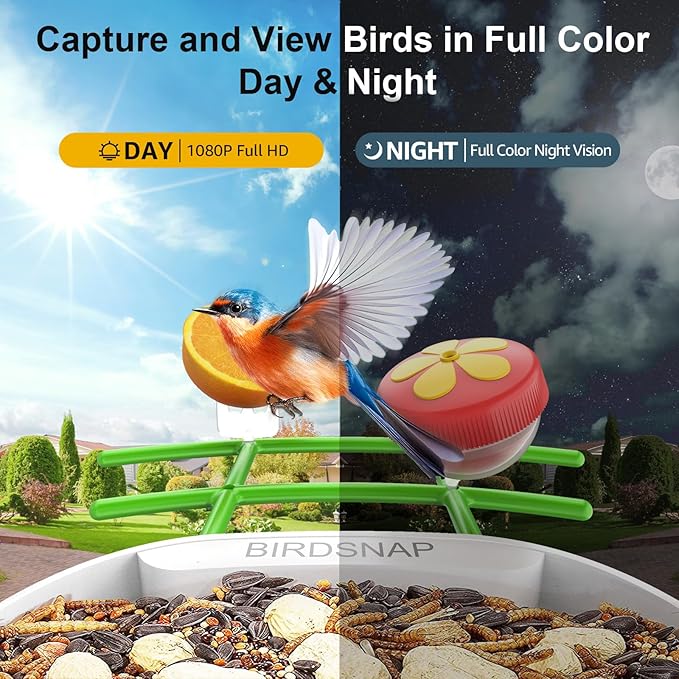 birdsnap® PAV- Smart Bird Feeder with Camera Solar Powered, 64GB Card & 2K HD Record Video Bird Camera Live with 5 DIY Add-ons, AI Identify Auto Capture, Ideal Gift for Birds Lover