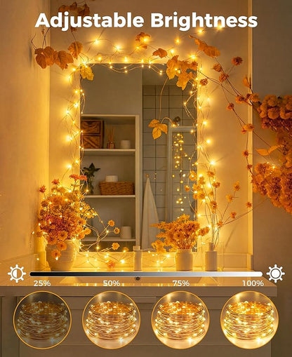 Plug-in Fairy Lights, 33 Ft 100 LED String Light with Remote, 8 Modes, Timer and Dimming Twinkle Lights for Indoor, Bedroom, Party, Decoration, Holiday, Warm White