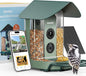Beako™ Smart Bird Feeder with 4K Camera Solar Powered for Outdoors - UHD Live Stream for Birdwatching, AI Identification 10,000+ Bird Species, Real-Time Motion Detection, Ideal Gift for BirdLovers