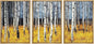 wall26 Framed Aspen Trees Fall Colors - Canvas Art Wall Art - 24"x36"x3 Natural